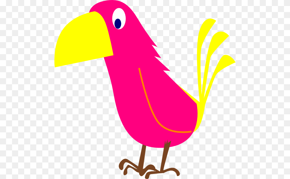 Bird Clip Art, Animal, Beak Png