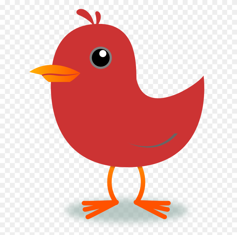 Bird Clip Art, Animal, Beak Png Image