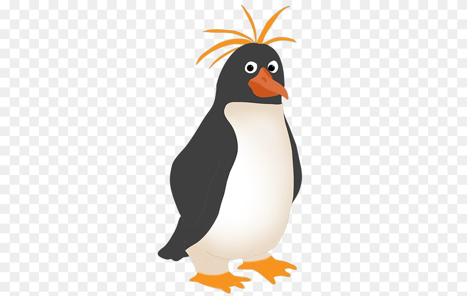 Bird Clip Art, Animal, Penguin Png Image