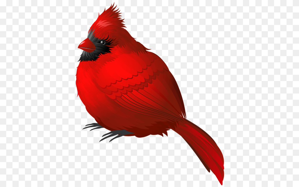 Bird Clip Art Printable Birds Watercolor Bird Illustration, Animal, Cardinal Png