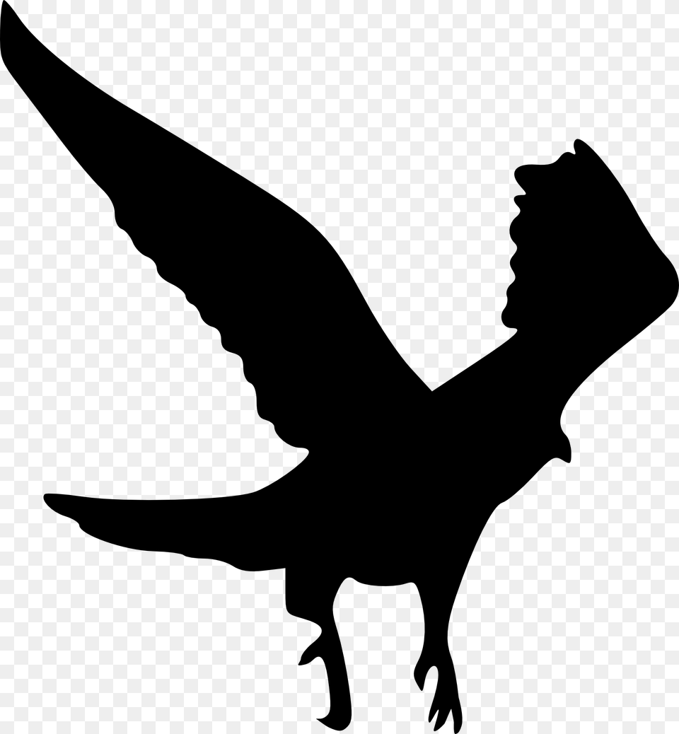 Bird Clip Art Silhouette Wedge Tail Eagle, Stencil, Animal, Fish, Sea Life Free Transparent Png