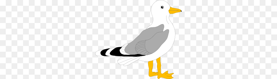 Bird Clip Art Skrapbuking Otkrytki Clip Art, Animal, Seagull, Waterfowl Free Transparent Png
