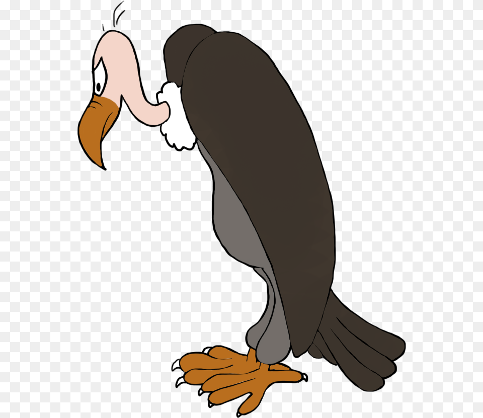 Bird Clip Art Vulture Clipart, Animal, Beak, Adult, Female Free Transparent Png