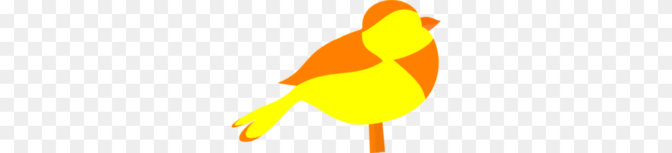 Bird Clip Arts, Animal, Canary, Finch, Fish Png Image