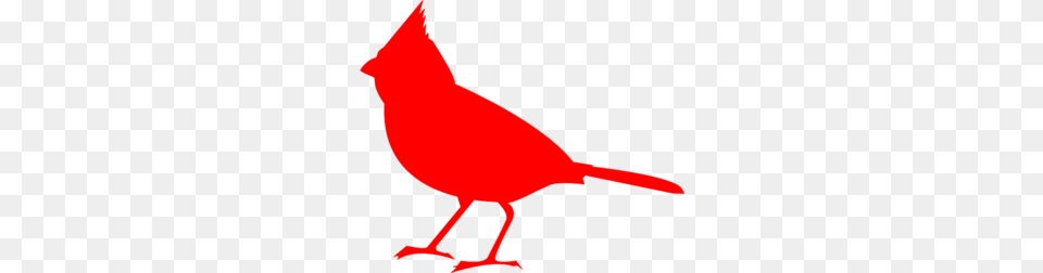 Bird Clip Arts, Animal, Cardinal, Person Png