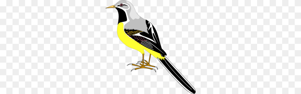 Bird Clip Arts, Animal, Finch, Beak Free Transparent Png