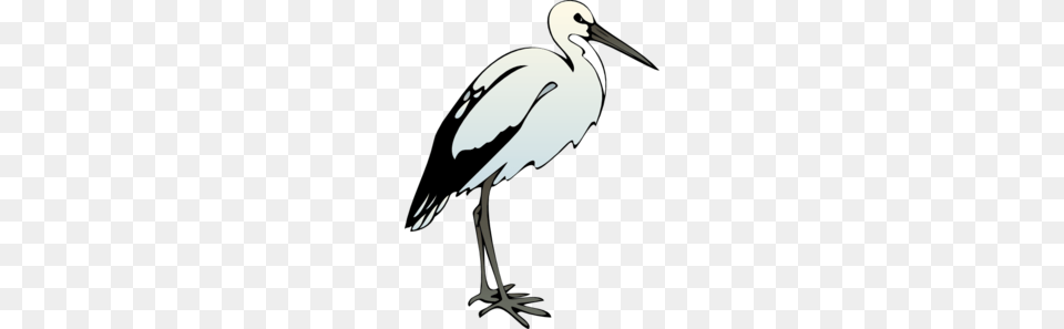 Bird Clip Arts, Animal, Crane Bird, Stork, Waterfowl Free Transparent Png