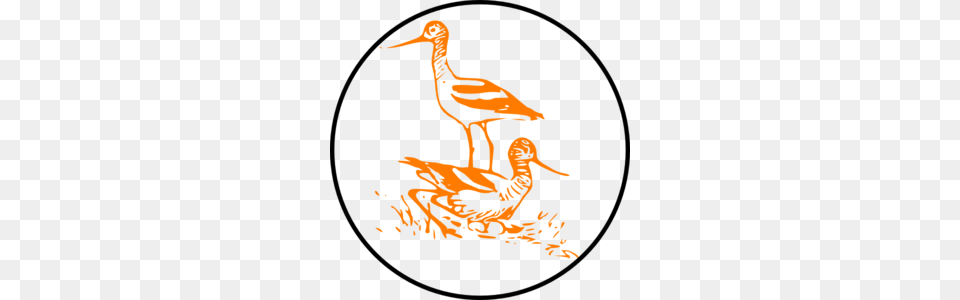 Bird Clip Arts, Animal, Beak, Crane Bird, Waterfowl Png