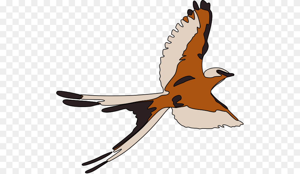 Bird Clip Arts Maya Bird Flying Clipart, Animal, Kite Bird, Beak, Person Free Png Download
