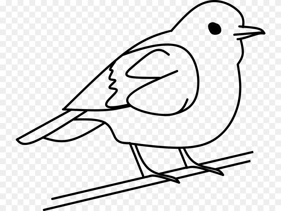 Bird Clip Black And White Coloring Huge Freebie Download, Animal, Finch, Car, Transportation Free Png