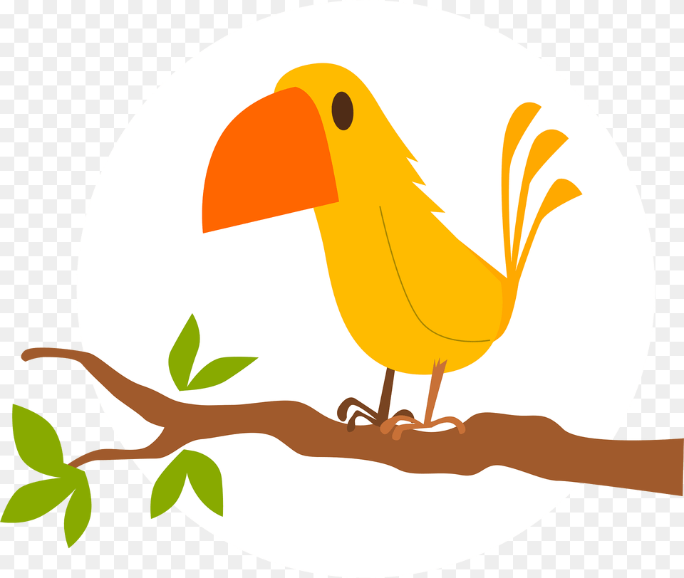 Bird Clipart, Animal, Beak, Canary, Fish Png