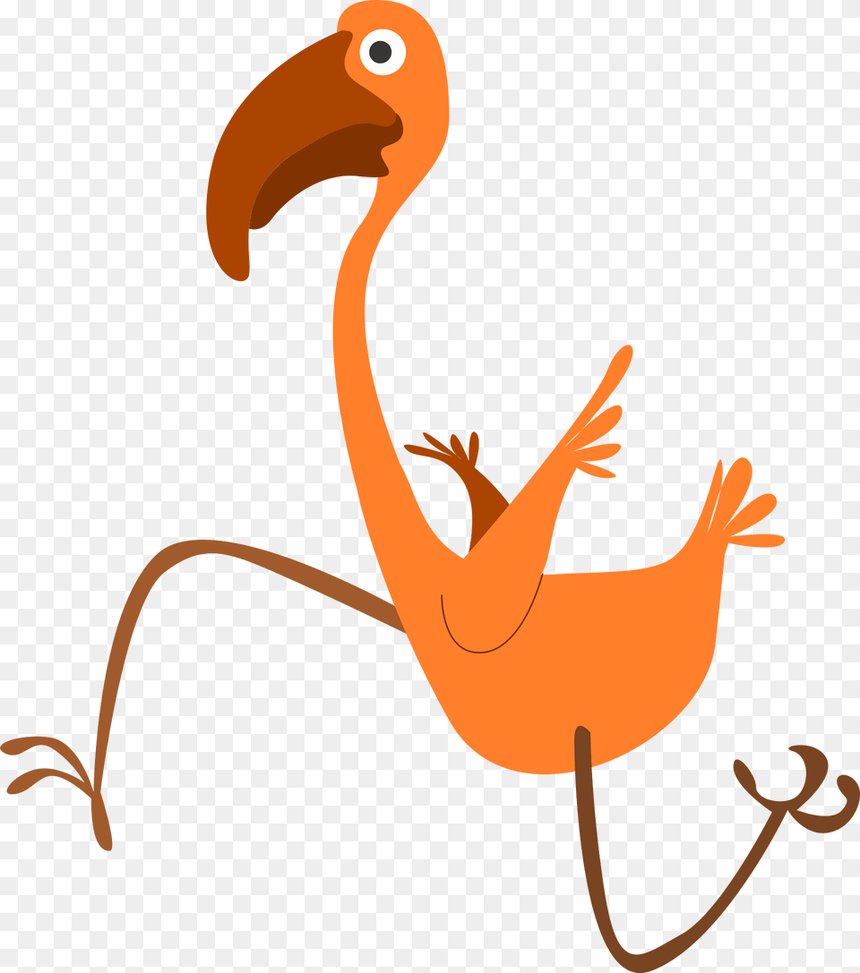Bird Clipart, Animal, Beak Png