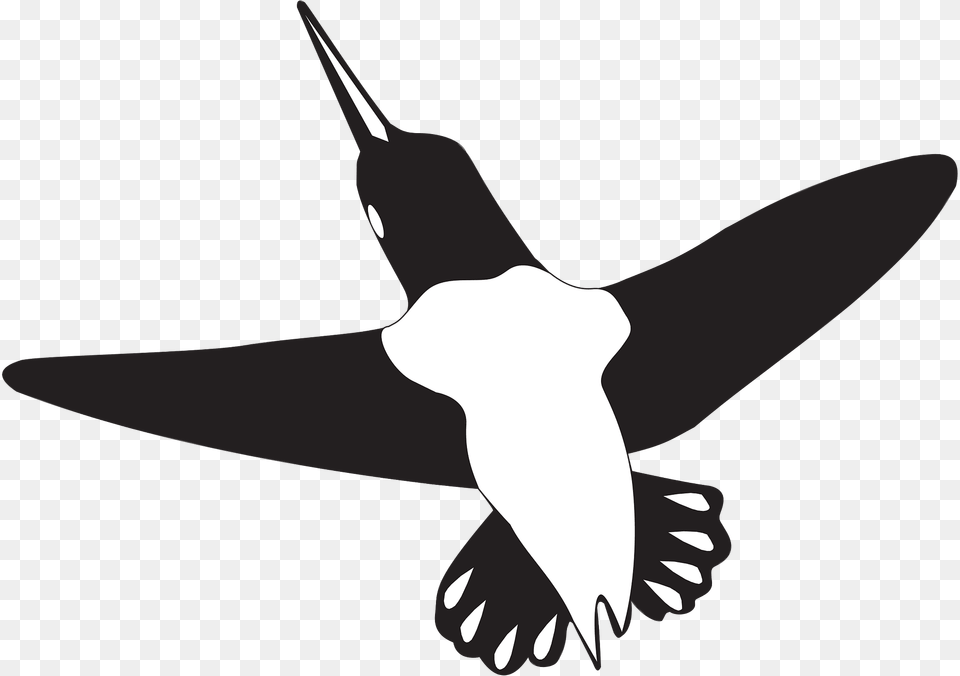 Bird Clipart, Animal, Person, Hummingbird, Flying Png