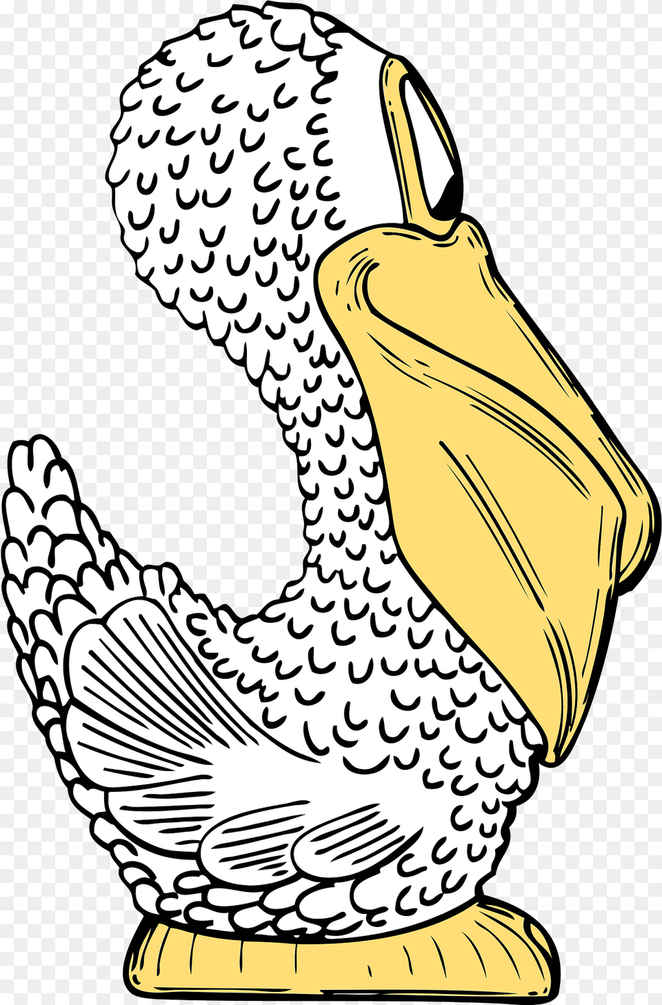 Bird Clipart, Person, Art, Animal Free Transparent Png