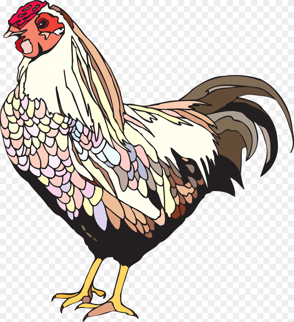 Bird Clipart, Animal, Poultry, Fowl, Person Png Image