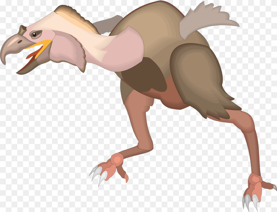 Bird Clipart, Animal, Vulture, Kangaroo, Mammal Png Image