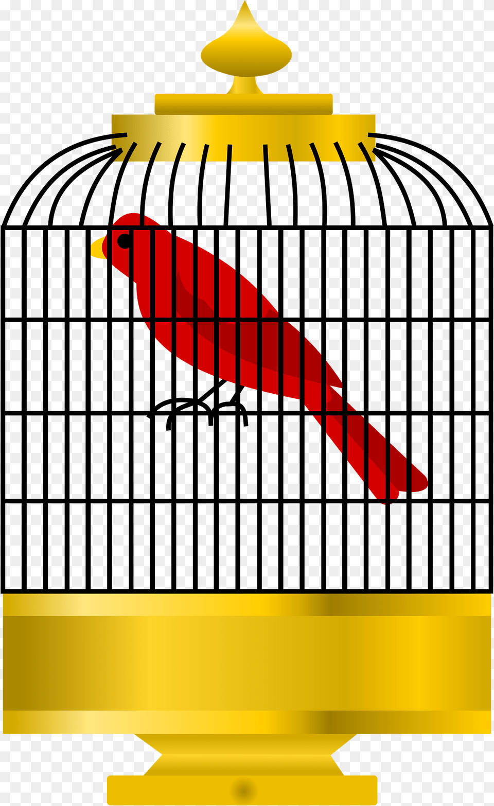 Bird Clipart, Gate, Animal Png