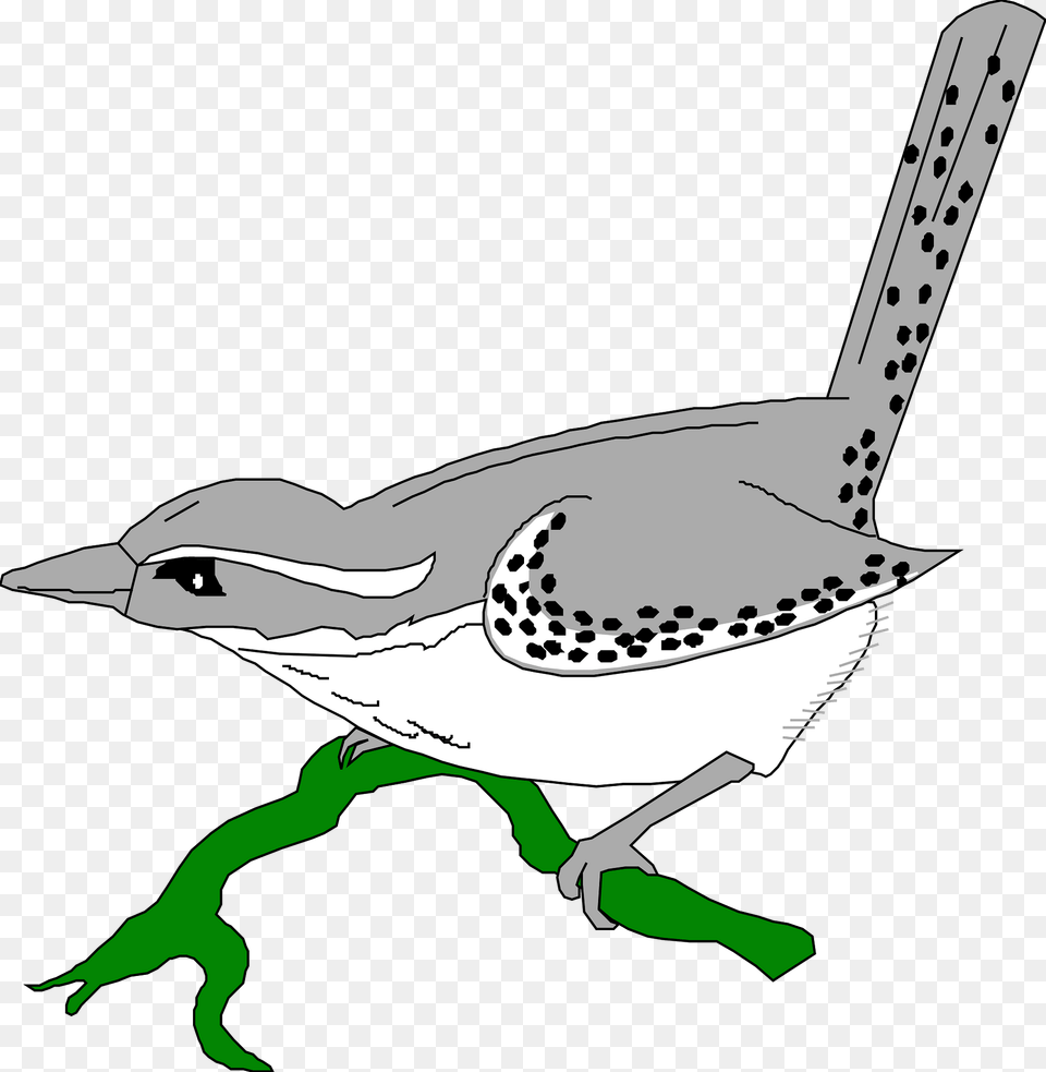Bird Clipart, Animal, Wren, Jay, Fish Png Image
