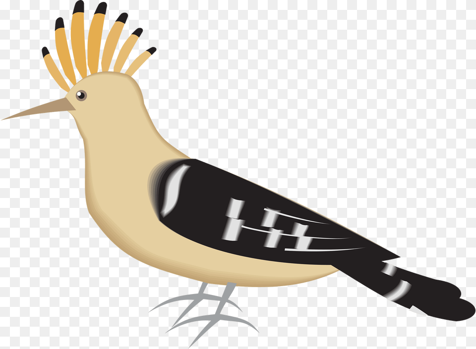 Bird Clipart, Animal, Beak, Jay Free Png Download