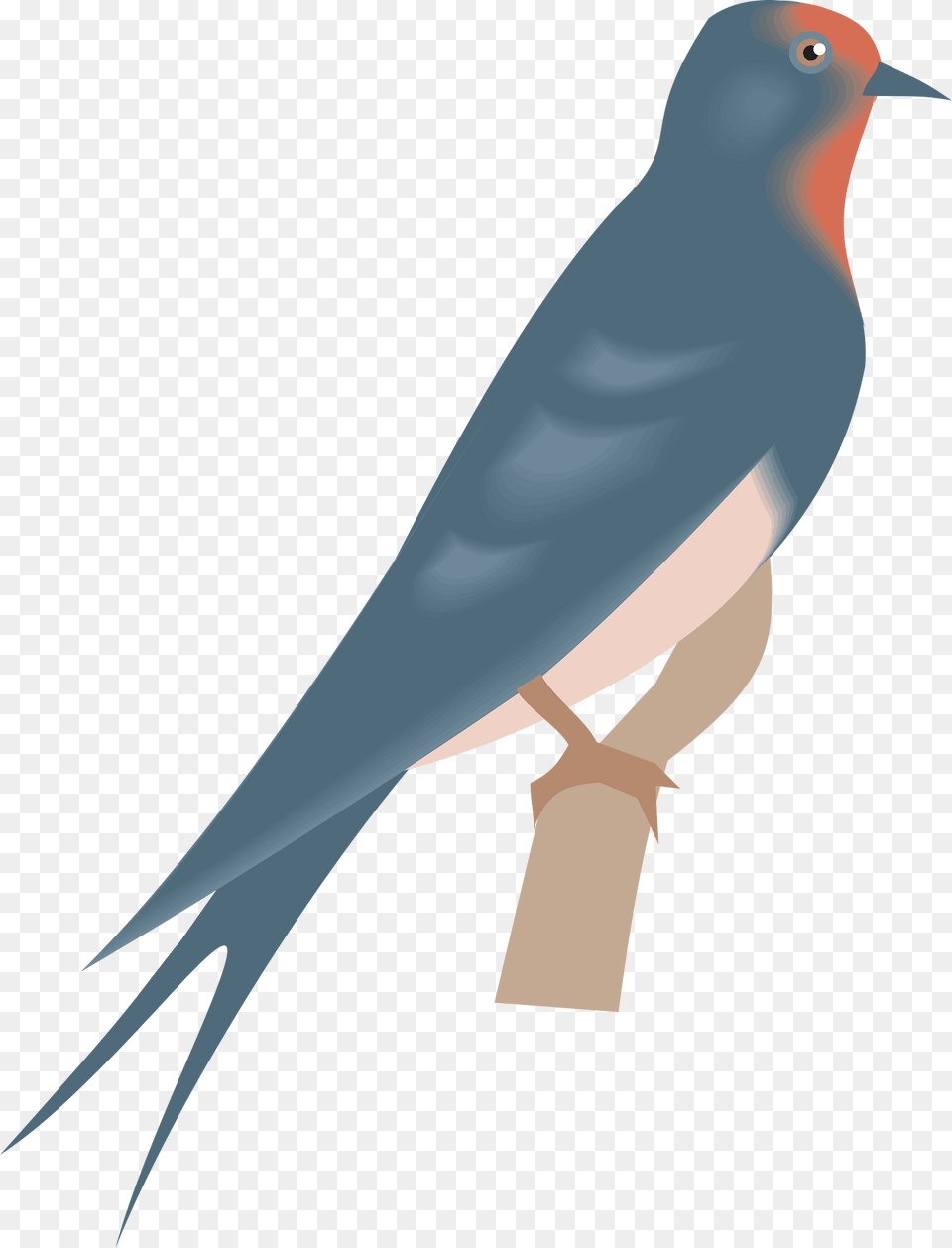 Bird Clipart, Animal, Finch, Swallow, Blade Png