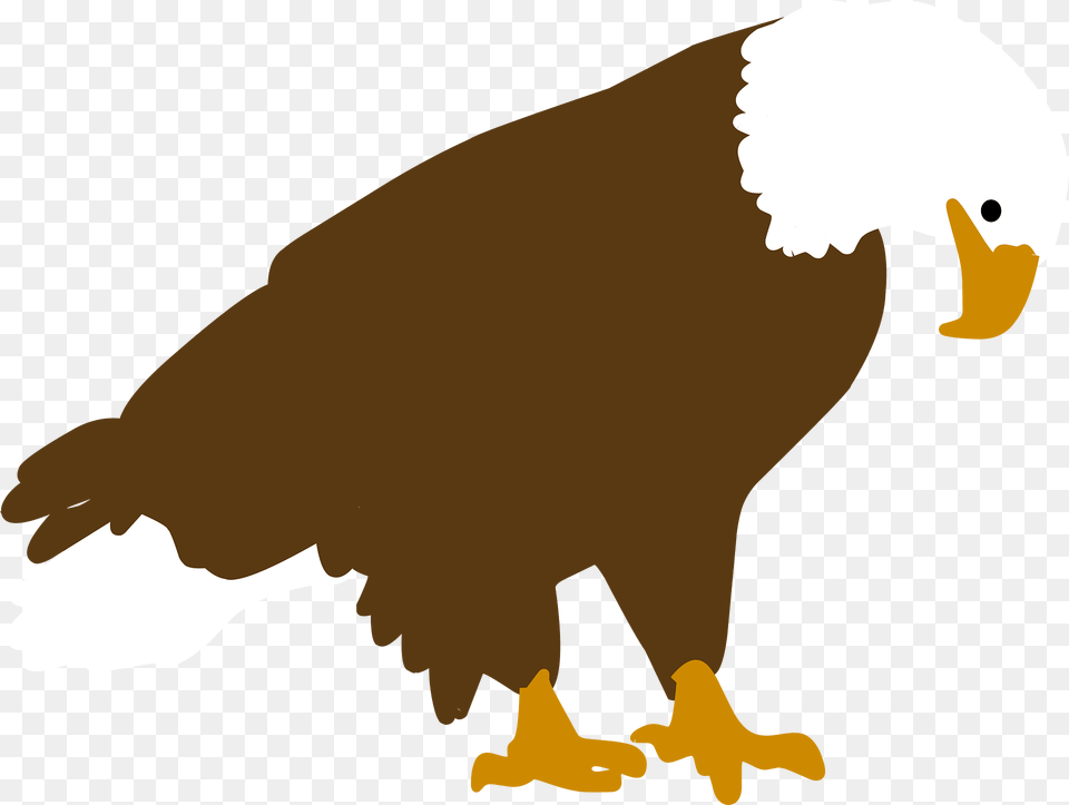 Bird Clipart, Animal, Beak, Eagle, Bald Eagle Free Png