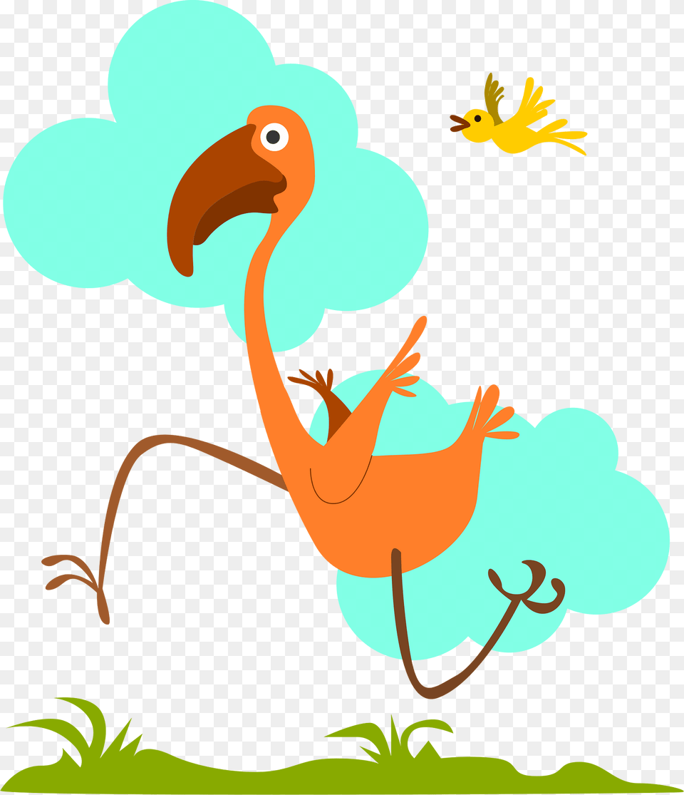 Bird Clipart, Animal Png