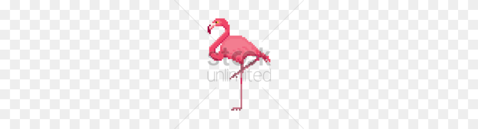 Bird Clipart, Animal, Flamingo Png