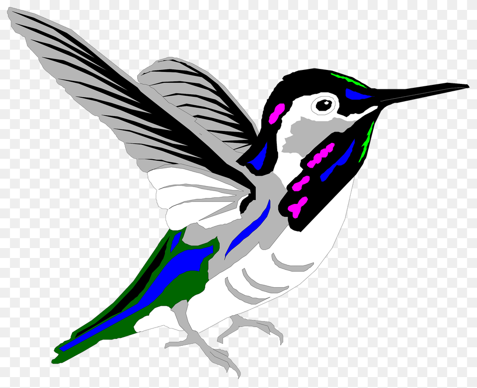 Bird Clipart, Animal, Hummingbird Free Png