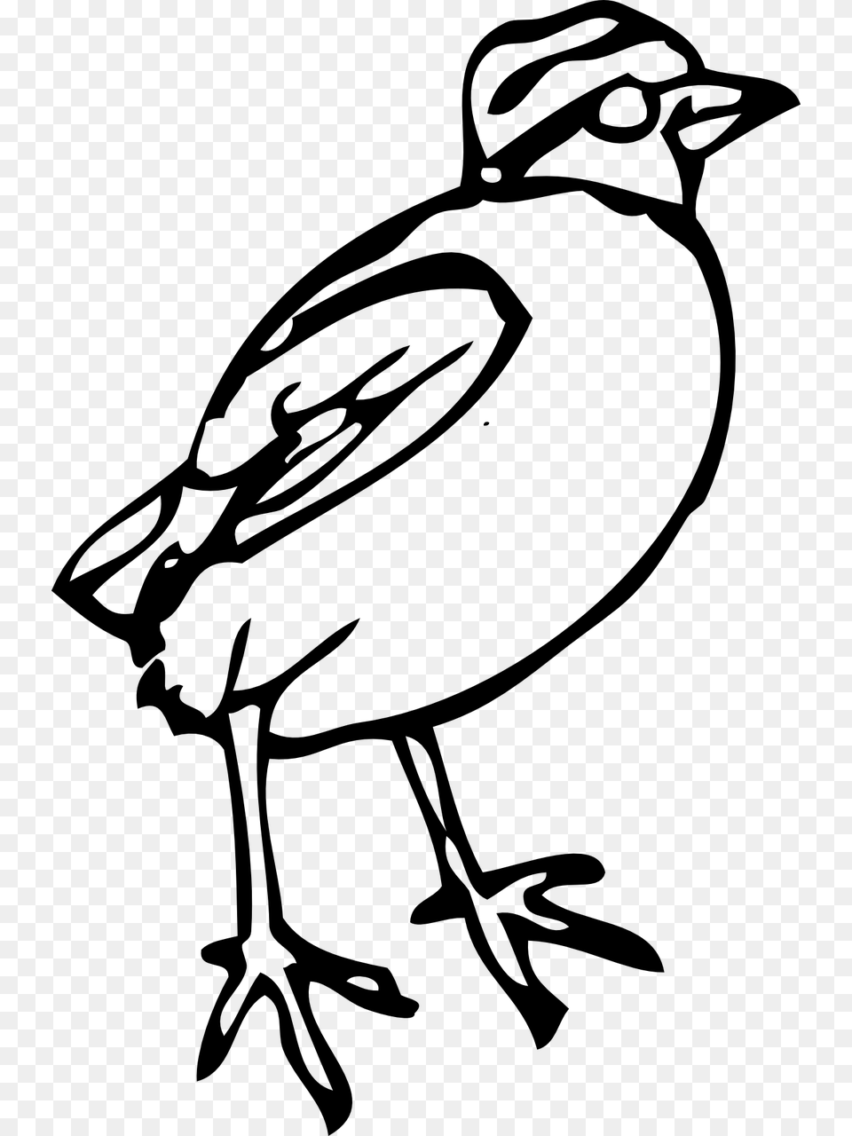 Bird Clipart, Gray Png