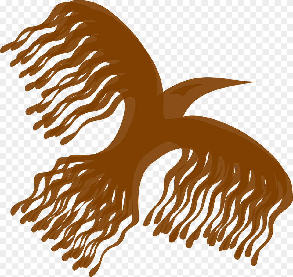Bird Clipart Png Image