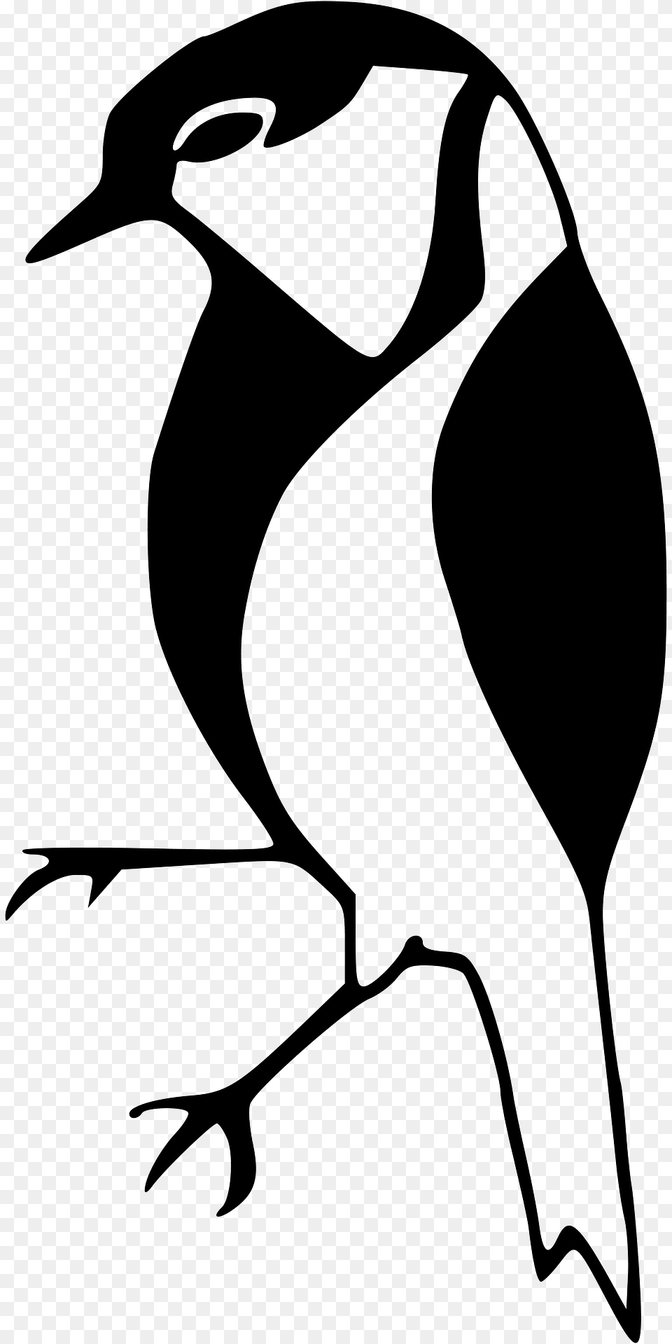 Bird Clipart, Animal, Jay, Beak, Penguin Free Png