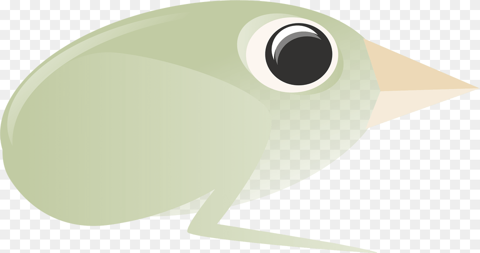 Bird Clipart, Animal, Sea Life, Fish Free Transparent Png