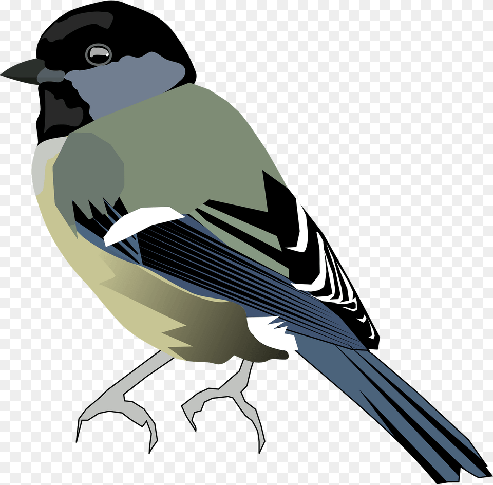 Bird Clipart, Animal, Finch, Jay, Fish Free Png Download