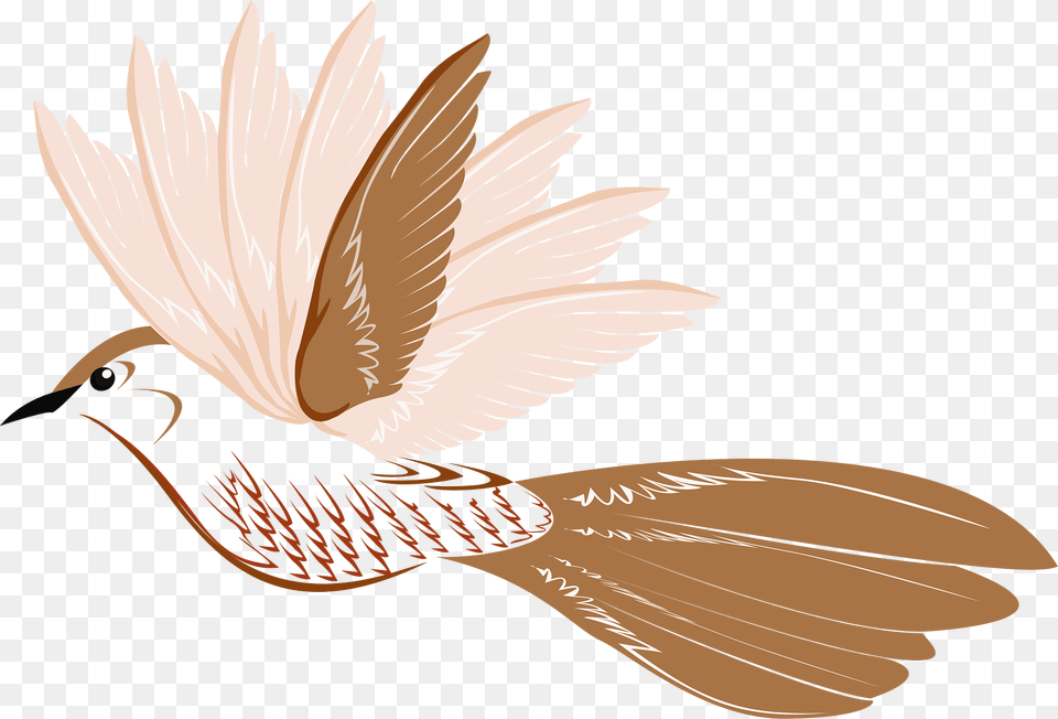 Bird Clipart, Animal, Pigeon, Dove, Fish Png Image