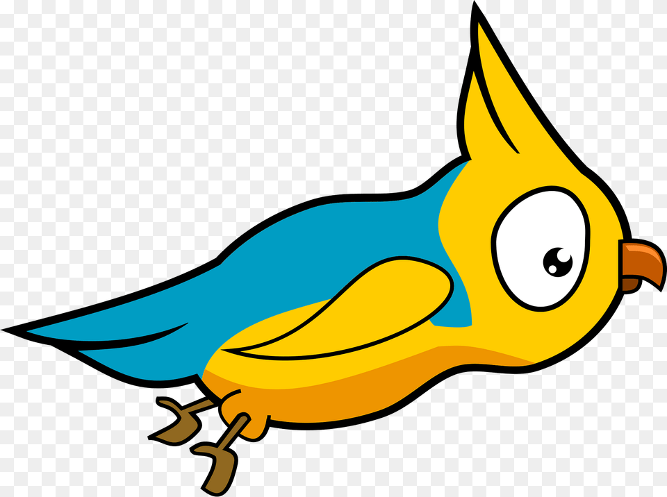 Bird Clipart, Animal, Beak, Jay, Fish Free Transparent Png