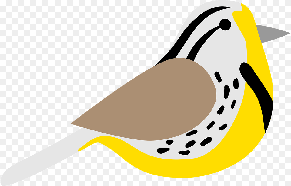 Bird Clipart, Animal, Beak, Finch, Fish Png Image