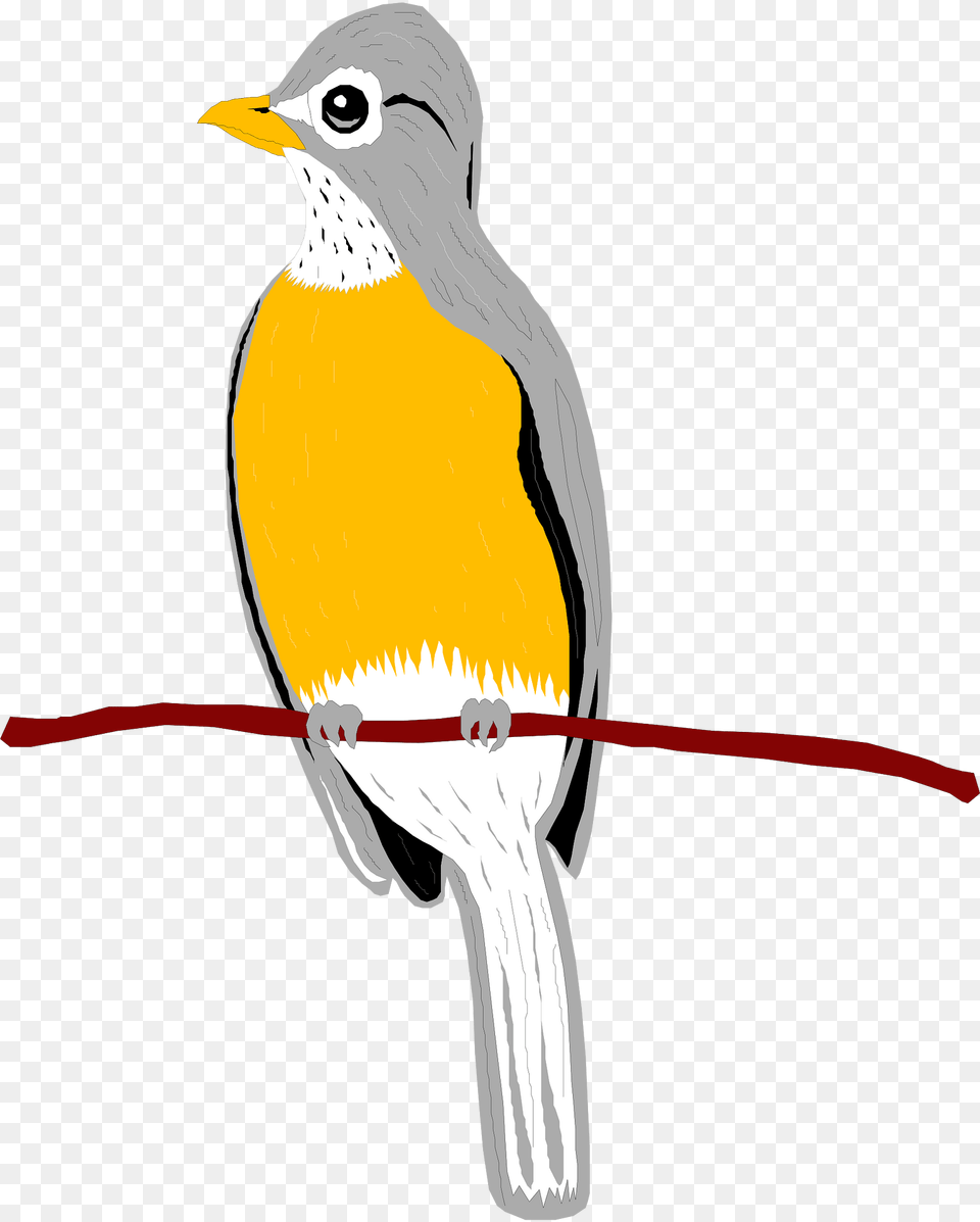 Bird Clipart, Animal, Finch, Robin Free Png