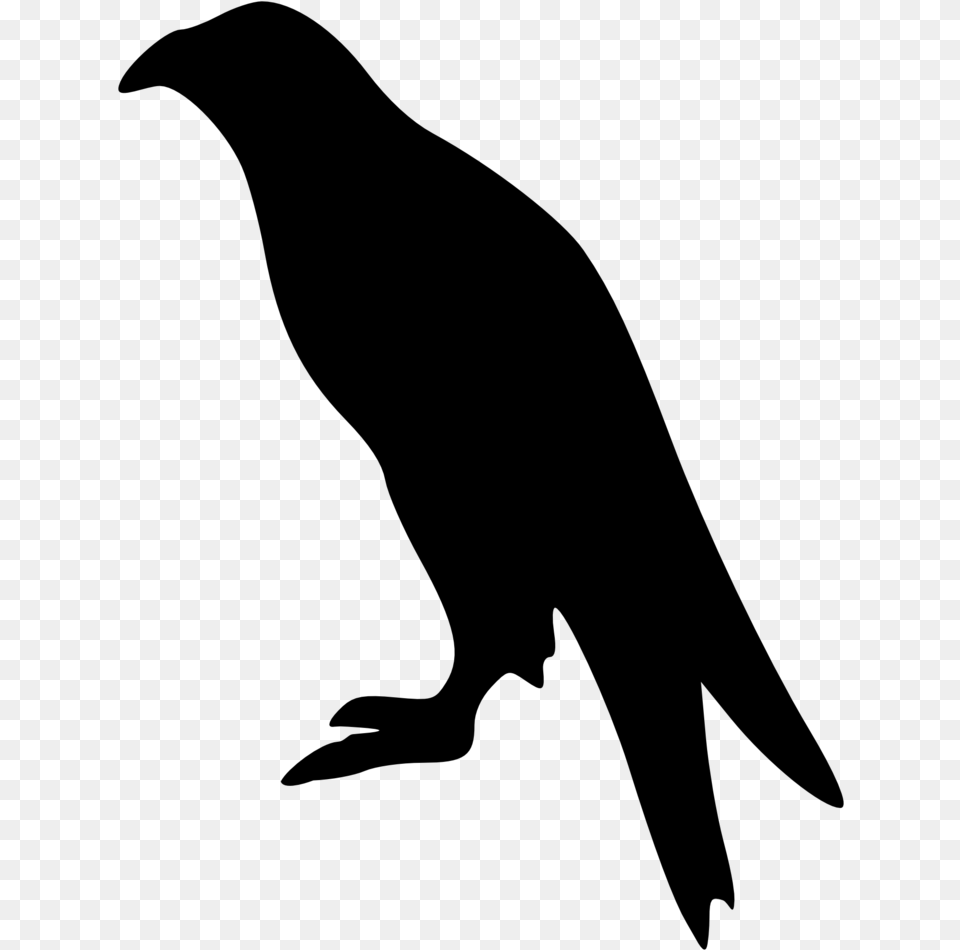 Bird Clipart Bald Eagle Bird Eagle Silhouette, Gray Png Image