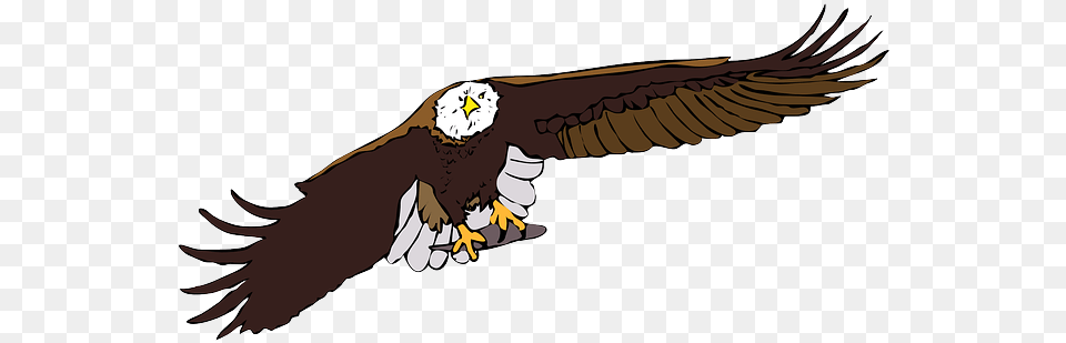 Bird Clipart Bald Eagle Bird Eagle Vector Transprent, Animal, Person, Bald Eagle Png Image