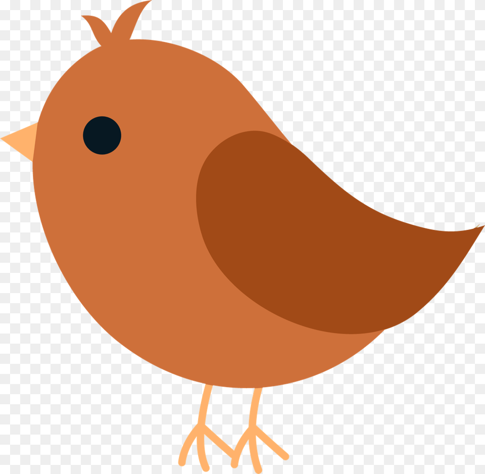 Bird Clipart Best Web Photos Bird Clip Art, Animal, Beak Png Image