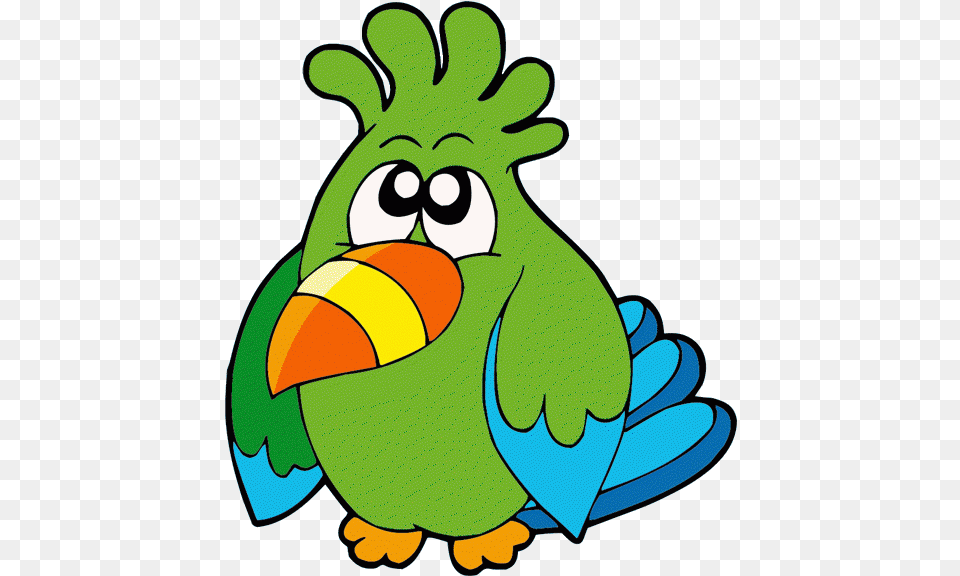 Bird Clipart Cartoon Pirate Hat Full Size Clip Art, Animal, Beak, Green Png
