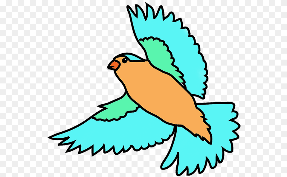 Bird Clipart Colored, Animal, Baby, Person, Jay Free Transparent Png