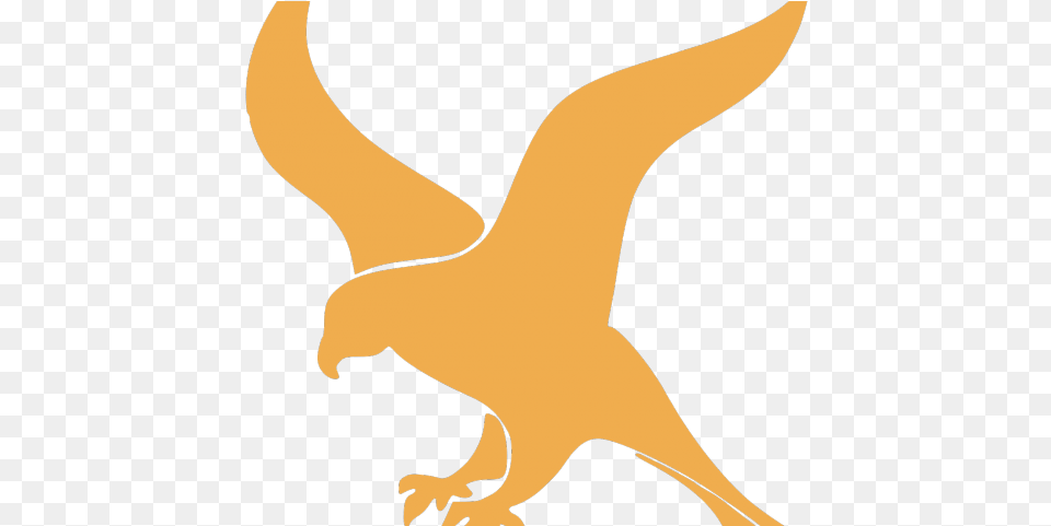 Bird Clipart Falcons Minimalist Falcon Download Falcon Python Logo, Animal, Fish, Sea Life, Shark Png Image