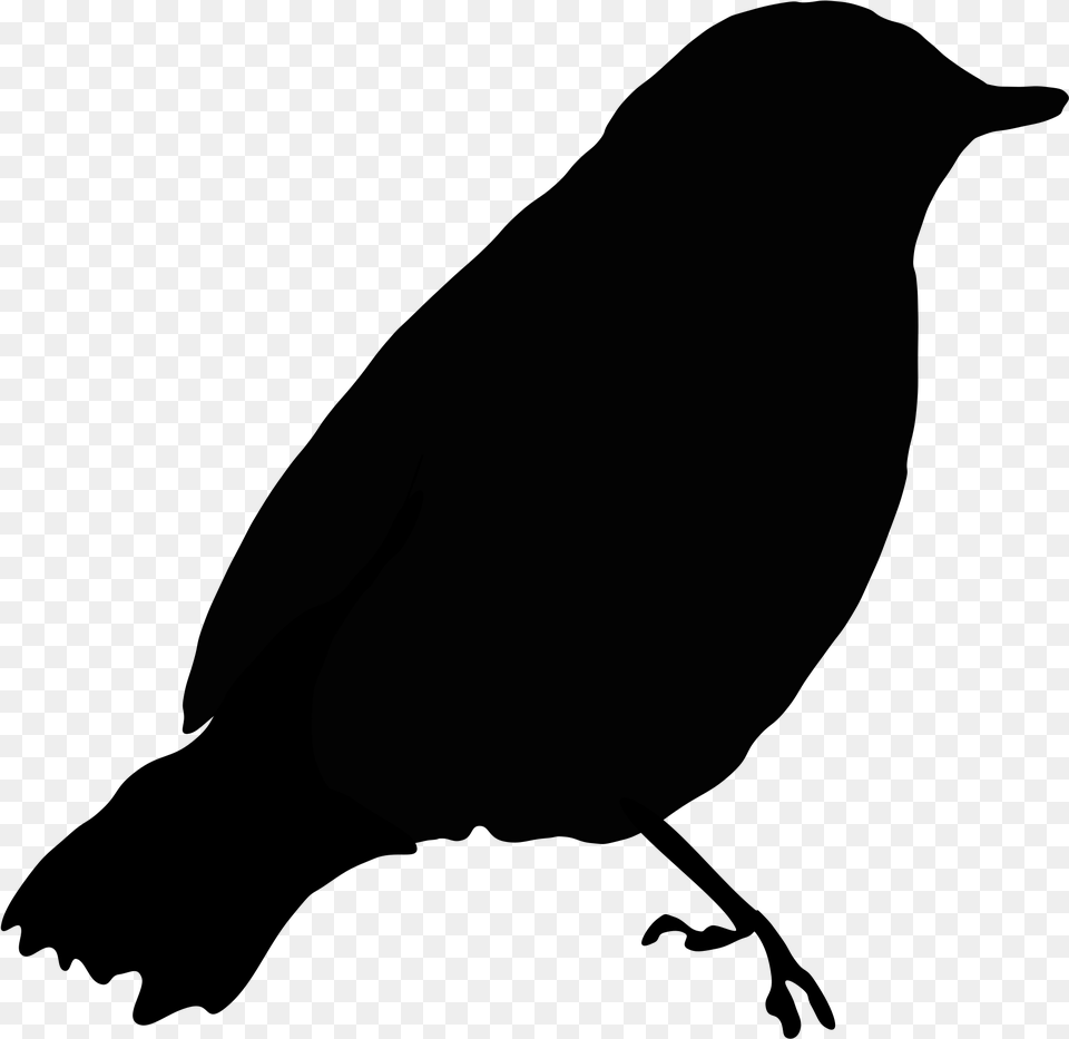 Bird Clipart File Tag List Bird Clip Arts File Black Bird Clip Art, Gray Png Image