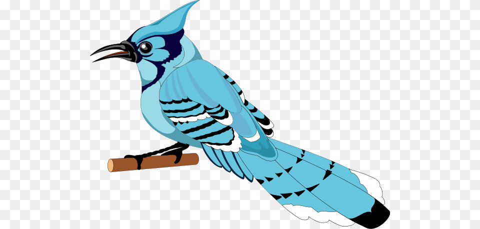 Bird Clipart For Web, Animal, Blue Jay, Bluebird, Jay Png