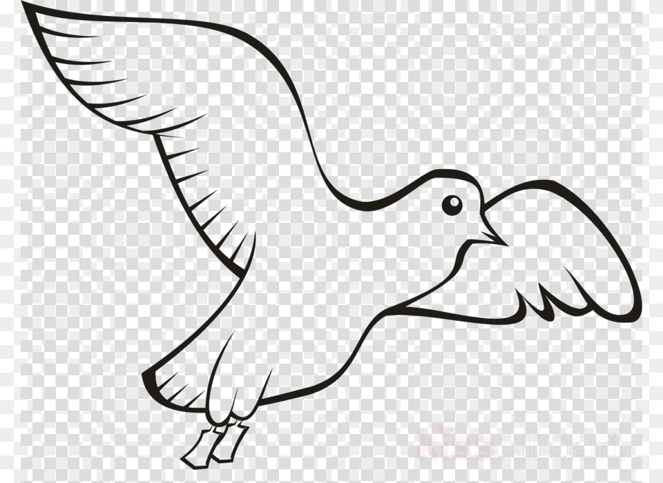 Bird Clipart Homing Pigeon English Carrier Pigeon Pigeons Penguin Drawing, Pattern, Home Decor Free Transparent Png