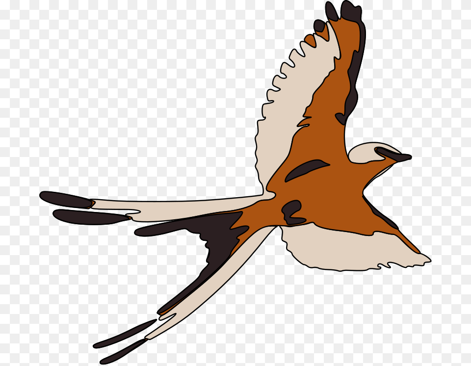 Bird Clipart Kestrel, Animal, Kite Bird, Flying, Beak Free Png