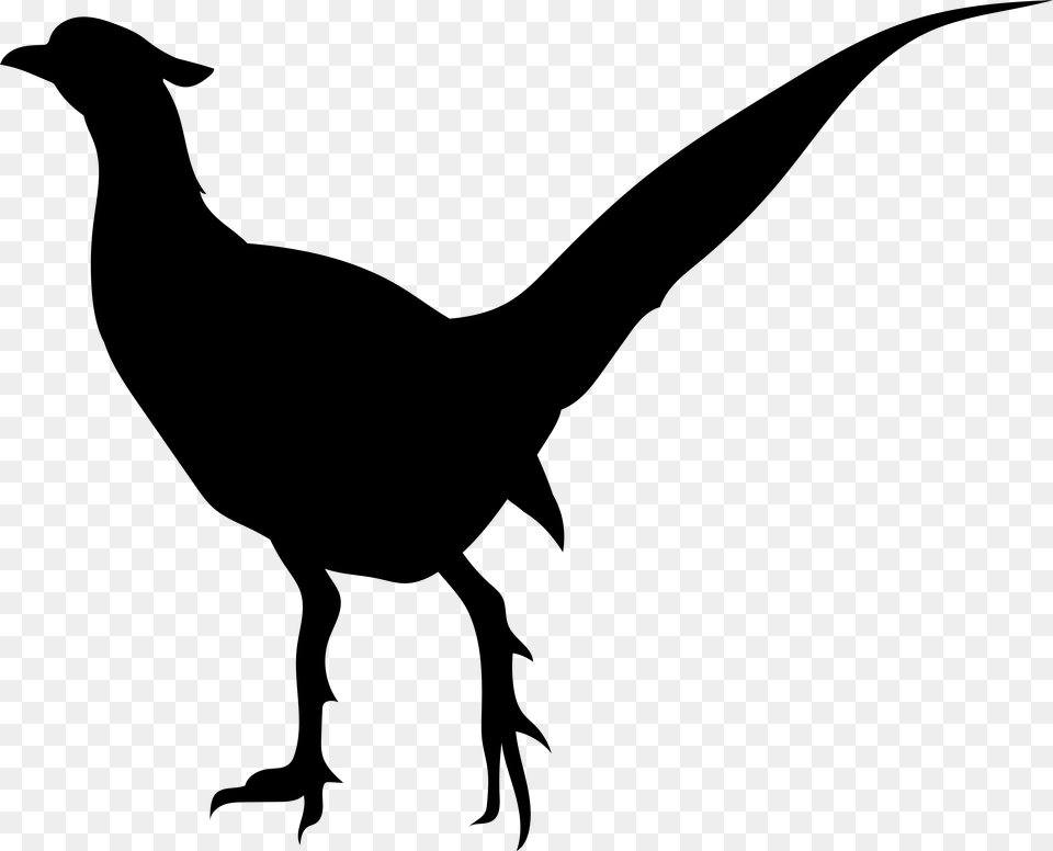 Bird Clipart Silhouette At Getdrawings, Gray Free Png