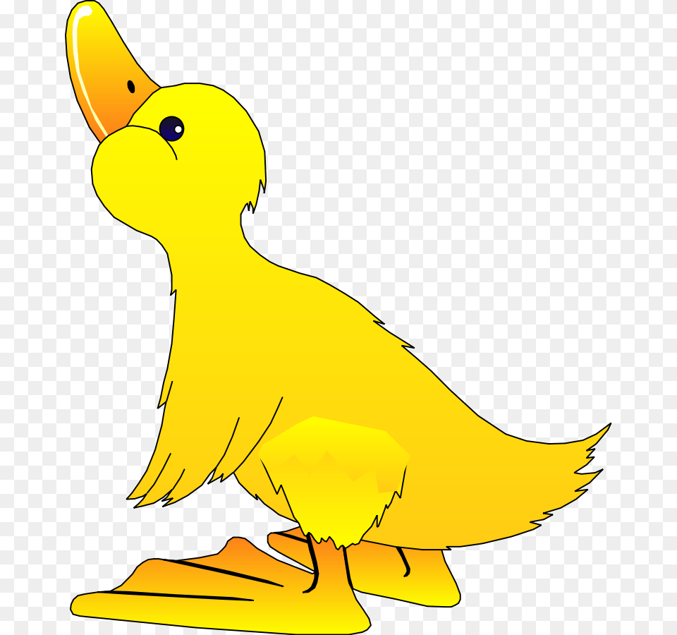 Bird Clipart Vector Clipart Duck, Animal, Beak Free Transparent Png