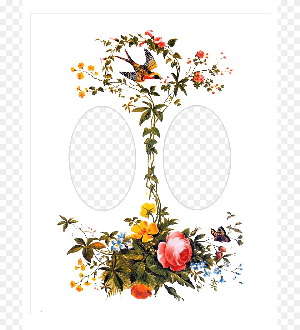Bird Collage, Art, Floral Design, Pattern, Graphics Png Image